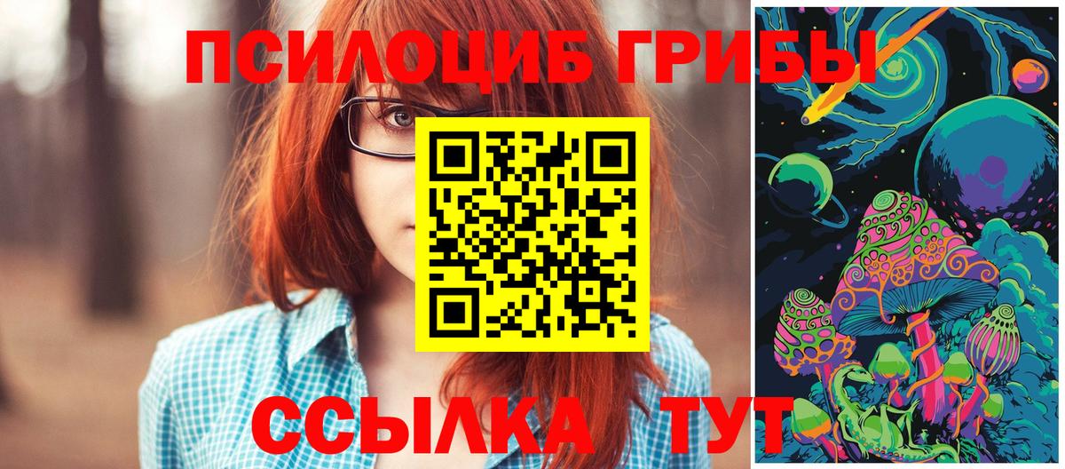 Псилоцибиновые грибы Psilocybe Калининград