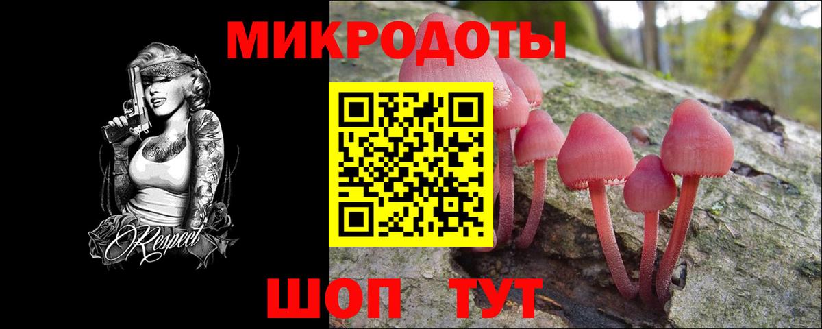 Калининград  Псилоцибиновые грибы MAGIC MUSHROOMS  Вход с VPN 